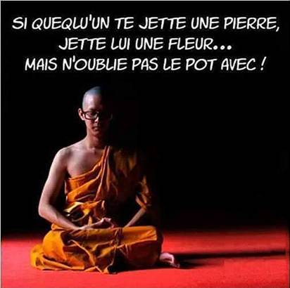 Untitled attachment 000331