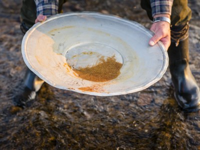 header_gold_plate-400x300