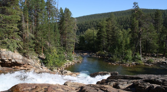 lemmenjoki_kesa-672x372